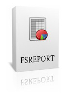FSReport